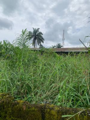 a Plot of Land, Shelter Afrique Estate Extension, Uyo, Akwa Ibom, Residential Land for Sale