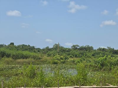 Regular Shaped Land Measuring 600 Square Meters, Adiva Estate, Inside Beechwood Estate, Ibeju Lekki, Lagos, Residential Land for Sale