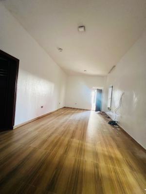 Standard 1bedroom Apartment, Ikate, Lekki, Lagos, Flat / Apartment for Rent
