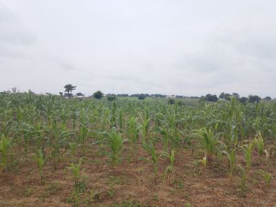 Land for 2 Bedroom Terraced Duplex, Kyami, Abuja, Residential Land for Sale