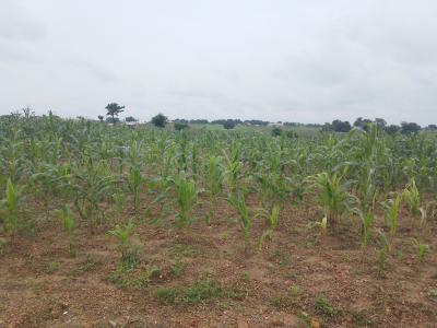 4 Bedroom Duplex, Kyami Abuja, Kyami, Abuja, Residential Land for Sale