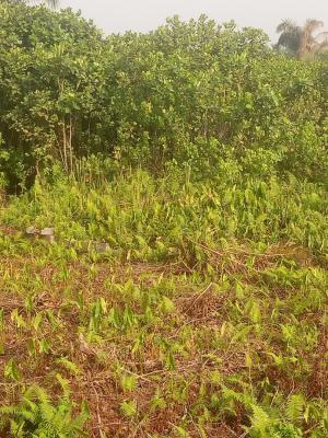 Executive Corner Piece Plot, Off Kusenla Street Ikate Lekki Lagos, Lekki, Lagos, Mixed-use Land for Sale