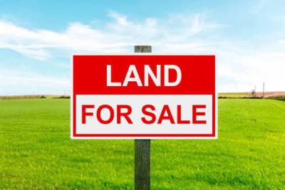 51 Hectares Flat Land, Along Paiko Road, Giri, Gwagwalada, Abuja, Mixed-use Land for Sale