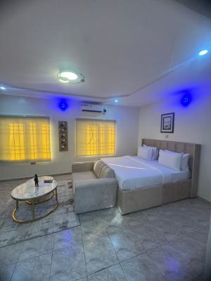 Fully Furnished/serviced Studio Apartment, Ikeja Gra, Ikeja, Lagos, Self Contain (single Rooms) Short Let