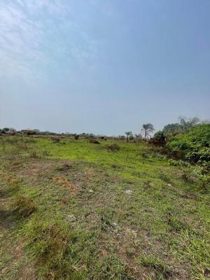 Plots of Land, Orchid Road, Lekki, Lagos, Mixed-use Land for Sale