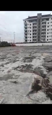 2300sqm Land Facing The Express Road in Ikate, Facing Expressway Ikate, Ikate Elegushi, Lekki, Lagos, Commercial Land for Sale