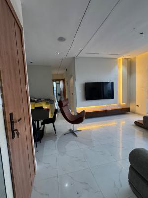 Fully Furnished 2 Bedrooms Apartment with an Elevator, Ikate, Lekki, Lagos, Flat / Apartment for Sale