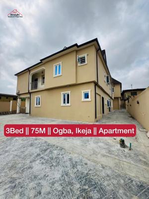 Beautiful Affordable Apartment for Family Comfort, Ogba, Ikeja, Ogba, Ikeja, Lagos, Flat / Apartment for Sale