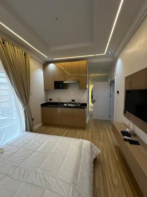 Cozy Standard Studio Apartment in a Very Secured Estate, Brownstone Estate, Ikate Elegushi, Lekki, Lagos, Flat / Apartment Short Let