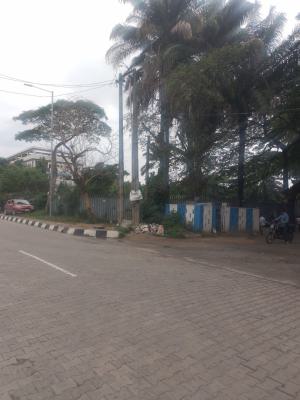 1000sqm Plot of Land Within a Descent Part of Ikoyi, Old Ikoyi, Ikoyi, Lagos, Land for Rent