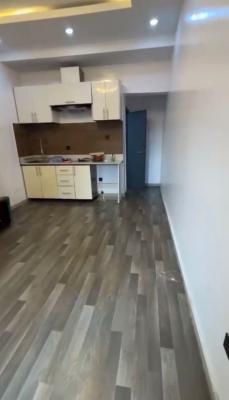 Fully Serviced Modern Spacious Miniflat, Akoka, Yaba, Lagos, Mini Flat (room and Parlour) for Rent