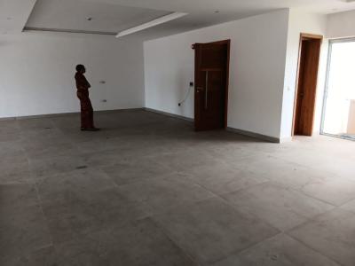 Spacious 3 Bedroom Apartment with Bq Swimming Pool, Gym and Elevator, Old Ikoyi, Ikoyi, Lagos, Flat / Apartment for Rent