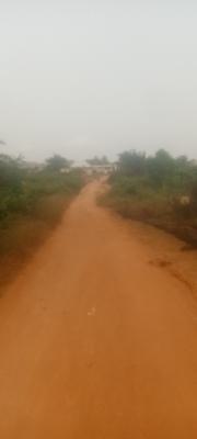 Prime Residential Land, Lasu, Ojo, Lagos, Residential Land for Sale