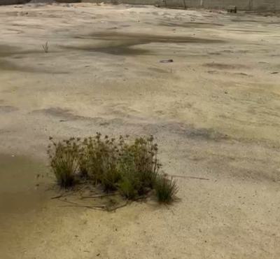 1,270sqm Land, Victoria Island (vi), Lagos, Mixed-use Land Joint Venture