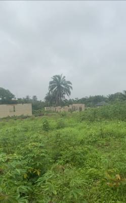 an Acre of Land in a Good Location Close to Sir. Otedola Farm, Iredo Community, Epe, Lagos, Residential Land for Sale