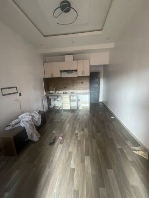 Standard and Spacious Mini Flat, St Finbarrs, Akoka, Yaba, Lagos, Mini Flat (room and Parlour) for Rent