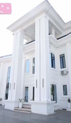 11 Bedrooms Smart Mansion + 2 Rooms Bq, Guzape District, Abuja, Detached Duplex for Sale