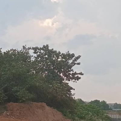 1414sqm Residential Plot of Land, Katampe (main), Katampe, Abuja, Residential Land for Sale