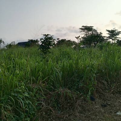 2 & Half Plot of Land, Okeore, Atan Ota, Ado-odo/ota, Ogun, Mixed-use Land for Sale
