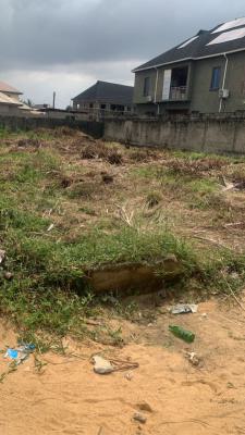 Fully Dry Standard Full Plot of Land in a Well Developed Area, Adewale Estate Off Badore Road, Ajah, Lagos, Residential Land for Rent
