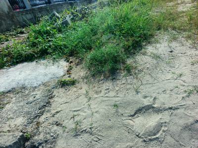 300sqm of Residential Land, Pearl Nuga, Sangotedo, Ajah, Lagos, Residential Land for Sale