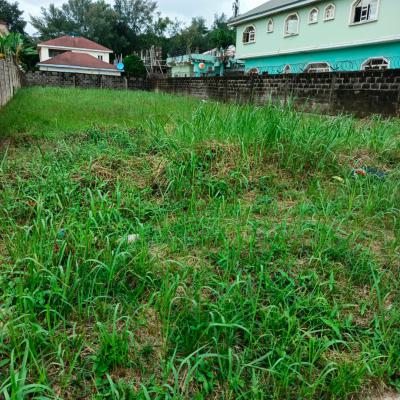 500sqm Residential Land Back Plot, Fountain Spring Ville Estate, Sangotedo, Ajah, Lagos, Residential Land for Sale