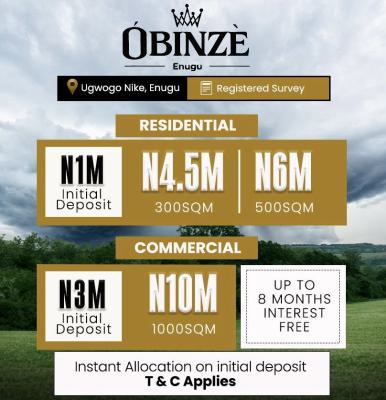 Affordable and Verified Dry Land with Instant Allocation, Obinze Estates Located Along Expressway in Ugwogo Nike, Enugu, Enugu, Mixed-use Land for Sale