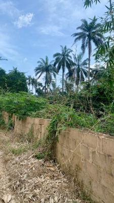 Mixes- Use Land, New Enugu Independence Layout Phase 2, Enugu, Enugu, Mixed-use Land for Sale