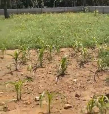 1,028sqm, Residential Land, Behind Paradise 1 Estate, Life Camp, Abuja, Residential Land for Sale