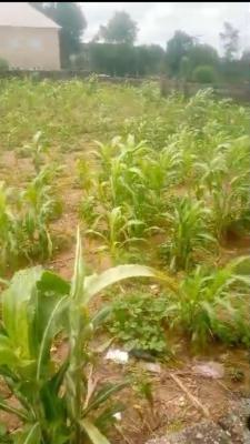 1400 Square Meters of Residential Land in Area1, Area1, Garki, Abuja, Residential Land for Sale