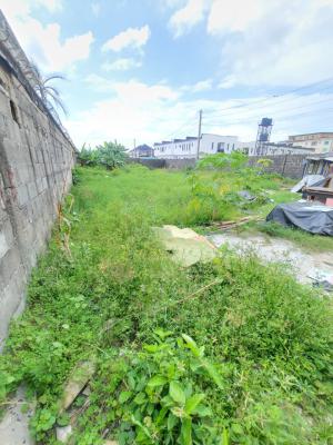 a Full Plot of Land, General Painting, Abraham Adesanya, Ajah, Lagos, Mixed-use Land Short Let