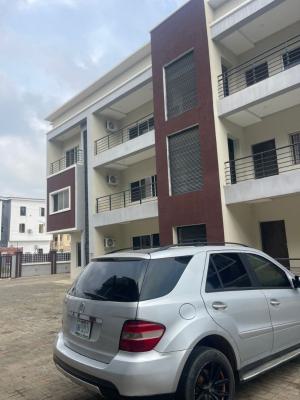 Newly and Massively Finished Three Bedroom Flat, Jahi, Abuja, House for Rent