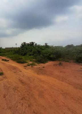 Plots & Acres of Residential and Farm Land in Obehie, Ukwa West, Abia, Ubi District, Obehie, Ukwa West, Ukwa, Abia, Mixed-use Land for Sale