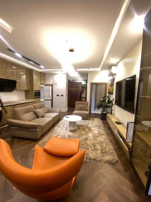 Tastefully Built Brand New Two Bedroom Fully Serviced, Off Fredom Way, Lekki Phase 1, Lekki, Lagos, Flat / Apartment for Rent