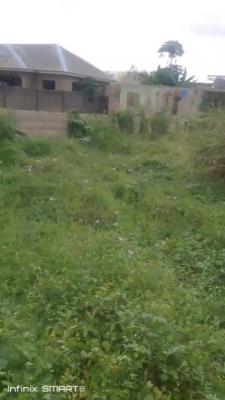Secure & Half Plot of Land with Gate, Dominion Estate, Asipa, Ayobo, Lagos, Residential Land for Sale