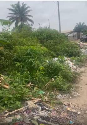 Plot of Land, Oribanwa Village, Ibeju Lekki, Lagos, Residential Land for Sale