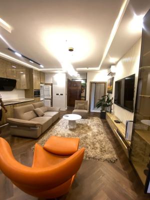 Luxury 2 Bedroom Apartment, Off Freedom Way, Lekki Phase 1, Lekki, Lagos, Flat / Apartment for Rent