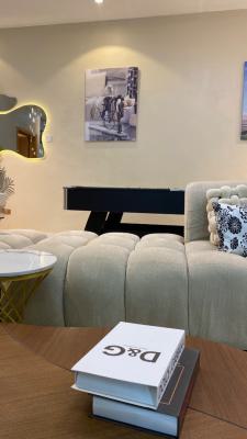 Brand New Fully Furnished 2 Bedroom with Inverter, Golden Palm Estate , Orchid Road, Lekki Phase 2, Lekki, Lagos, Flat / Apartment for Rent