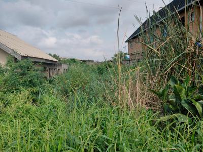 Half Plot of Land, Ezobi Street, Alapere, Ketu, Lagos, Mixed-use Land for Sale