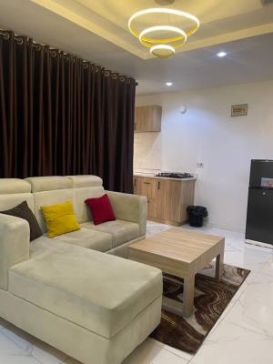 Beautiful 1 Bedroom with Gym, Surulere, Lagos, Mini Flat (room and Parlour) Short Let