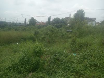 510sqm Land with C of O, Maplewood Estate, Oko-oba, Agege, Lagos, Residential Land for Sale