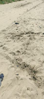 Strategic 1200 Sqm Cornerpiece Property, Off Hakeem Dickson Avenue, Lekki Phase 1, Lekki, Lagos, Residential Land for Sale