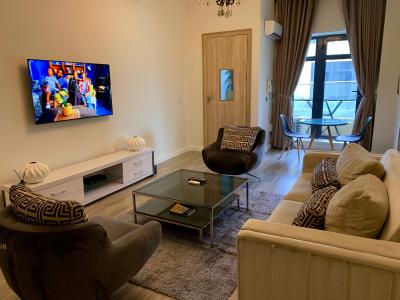 Deluxe 1 Bedroom Apartment, Oniru, Victoria Island (vi), Lagos, Mini Flat (room and Parlour) Short Let