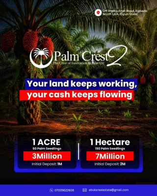 Palm Crest 2 Farmland with C of O - Earn Passive Income From Palm Oil, Palm Crest By Reftop Homes Ltd Off Imeko Afon, Agbado, Ifo, Ogun, Commercial Land for Sale