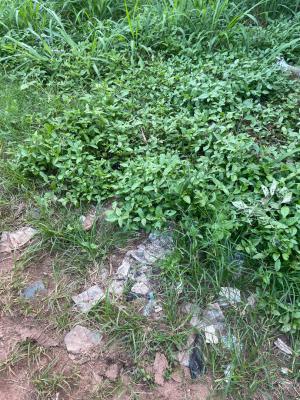 Land, Mbora (nbora), Abuja, Residential Land for Sale