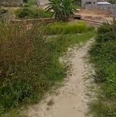 Hectares of Land for Development, Waterfront Estate, Igbo Efon, Lekki, Lagos, Mixed-use Land Joint Venture