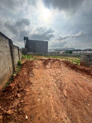 Turn Your Vision Into Reality with This 1,800sqm Masterpiece, Mabushi, Abuja, Residential Land for Sale