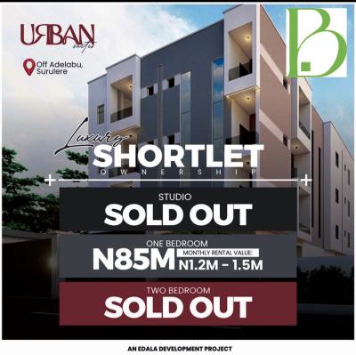 Luxury One Bedroom, Off Adelabu, Surulere, Lagos, Mini Flat (room and Parlour) for Sale