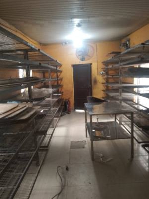 Relatively Old 3 Bedroom Duplex with 2 Bedroom Bq on Land Size 461sqm, Along Adeniran Ogunsanya Street,, Surulere, Lagos, House for Sale