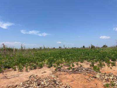 Estate Plot in a Developing Estate in Fha, Lugbe, Fha, Lugbe District, Abuja, Residential Land for Sale